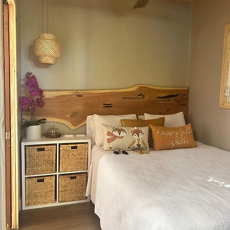 Sweet Tiny Cabin タンパ エクステリア 写真