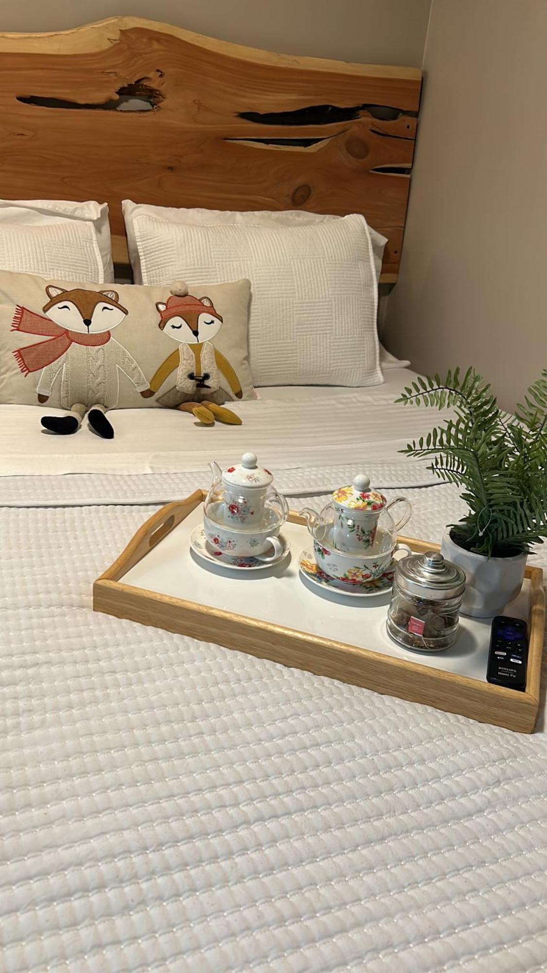 Sweet Tiny Cabin タンパ エクステリア 写真
