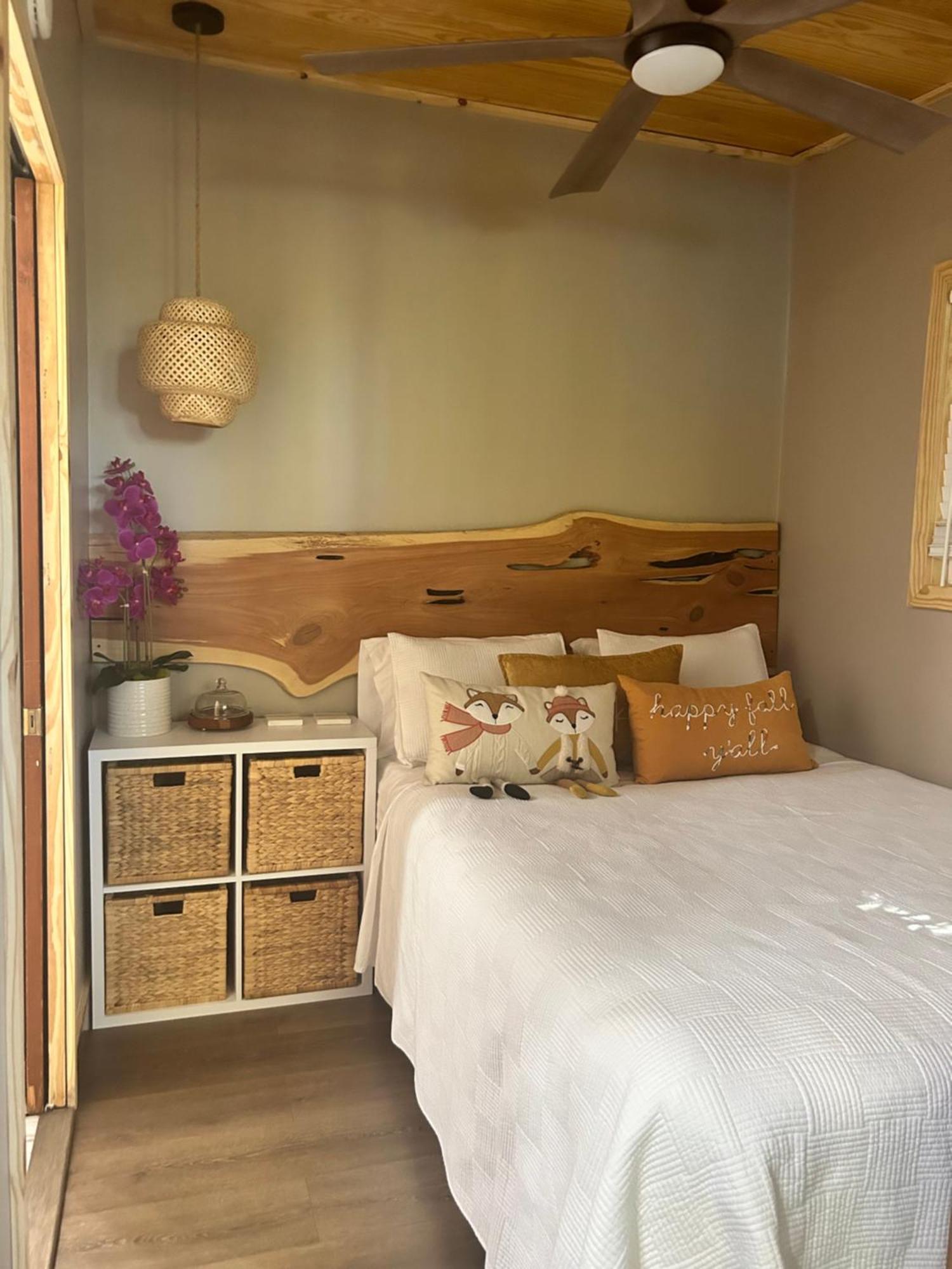 Sweet Tiny Cabin タンパ エクステリア 写真